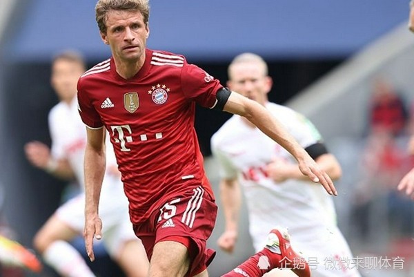 爱游戏平台-关于德国杯倒计时，夏洛特黄蜂今晚豪取连胜，细节引发关注，目标明确，球队文化再被提及的信息