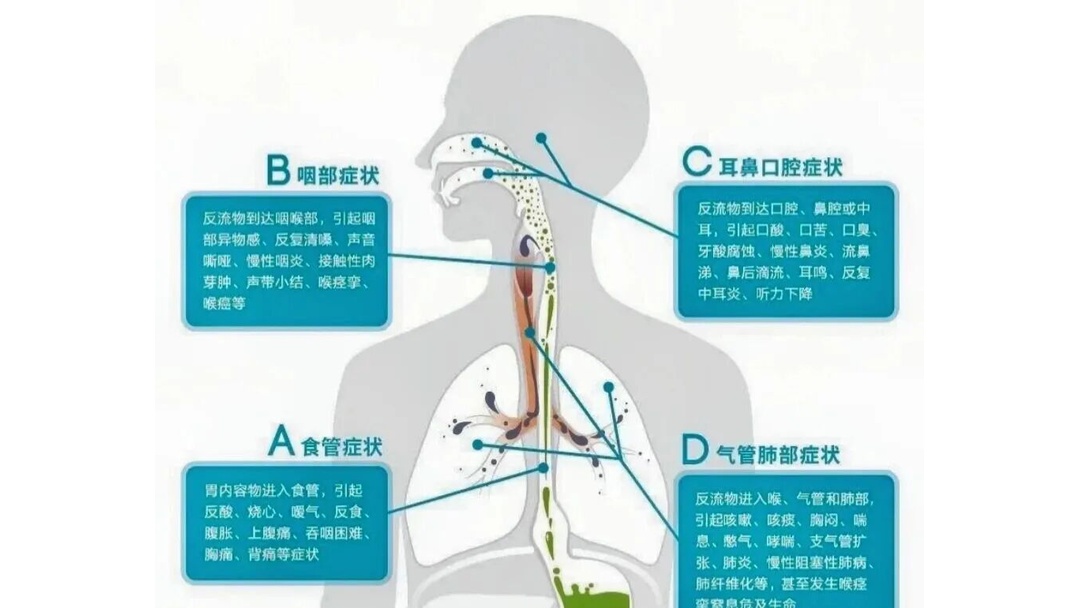 爱游戏中国-盐巴戟天的作用与功效